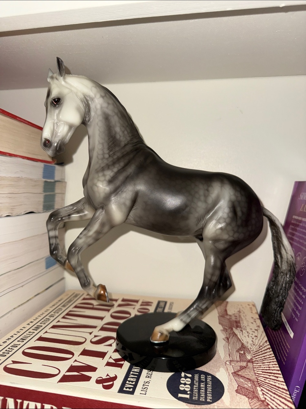Breyer 2017 special run “Indu”